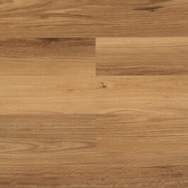 Trf11477 Feature Spotted Gum Swatch